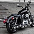 Harley SuperLow in black